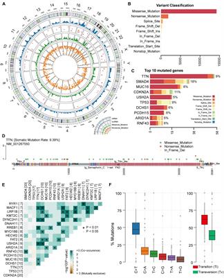 Integrating Genetic and Transcriptomic Data to Reveal Pathogenesis and Prognostic Markers of Pancreatic Adenocarcinoma